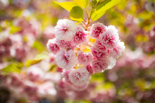 Spring is all about change